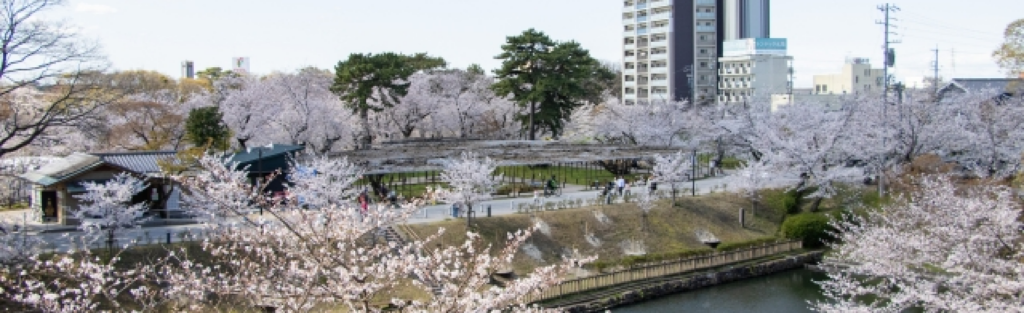 岡崎市の中小製造業を紹介（設立10年以上）