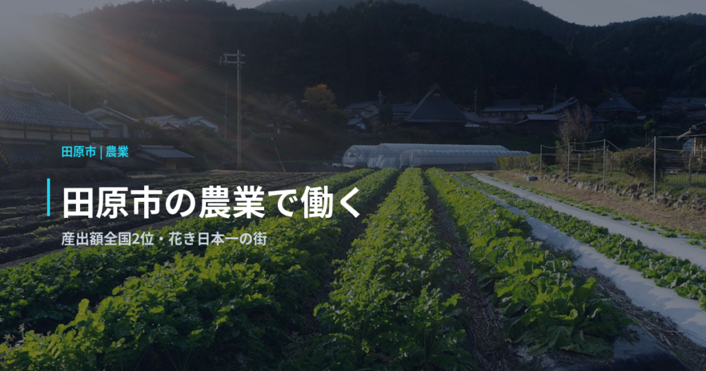 田原市の農業で働く｜産出額全国2位・花き日本一の街