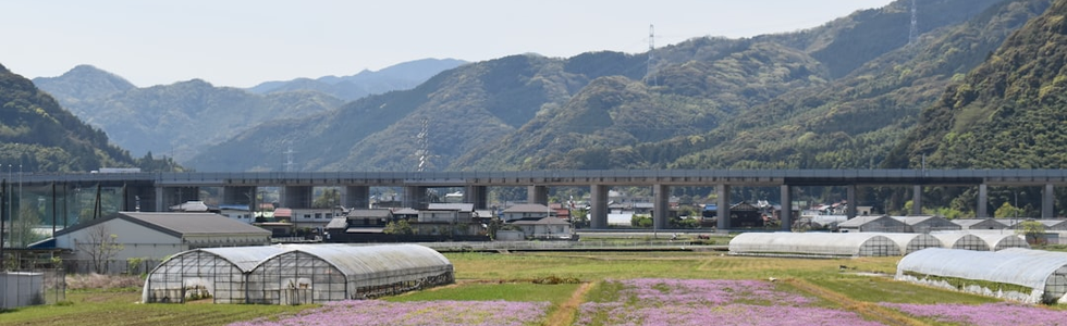 「季節労働」ではない―3部門バランス型農業が生む通年雇用
