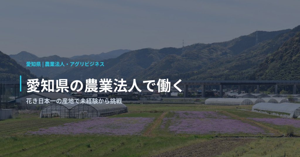 愛知県の農業法人で働く｜花き日本一の産地で未経験から挑戦