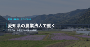愛知県の農業法人で働く｜花き日本一の産地で未経験から挑戦
