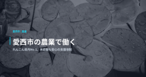 愛西市の農業で働く｜れんこん県内No.1、未経験も安心の支援体制