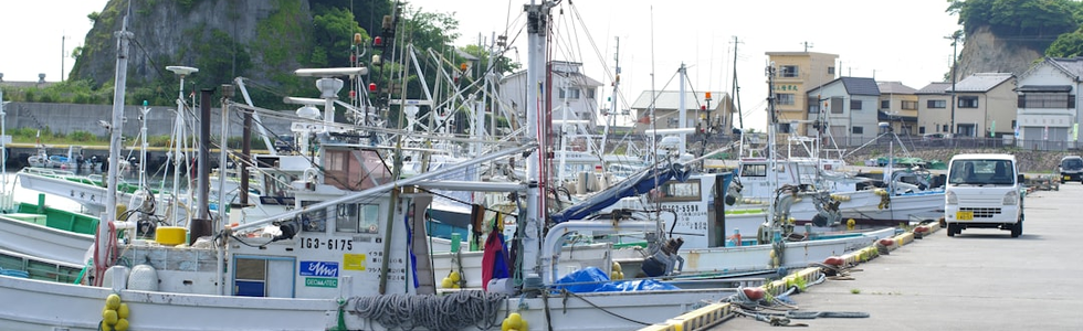 水産業で働く｜三河湾のハマグリ・あさりと漁師の仕事