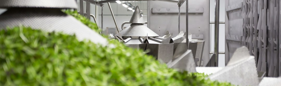 西尾の抹茶・茶業にはどんな仕事があるのか